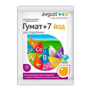 Чем подкормить огурцы в открытом грунте, чтобы было много хорошего урожая?