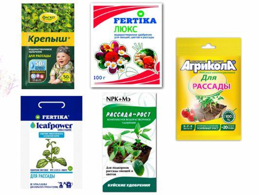 Чем подкормить огурцы в открытом грунте, чтобы было много хорошего урожая?