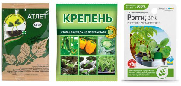 Чем подкормить огурцы в открытом грунте, чтобы было много хорошего урожая?