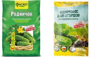 Чем подкормить огурцы в открытом грунте, чтобы было много хорошего урожая?